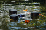 Blätter im Herbst aus dem Teich entfernen