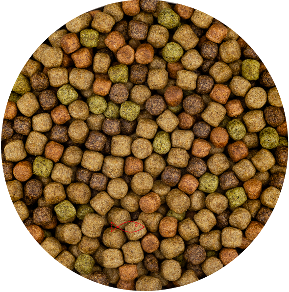 BluFeed – Premium Japan Mix – Koi – Fischfutter Teich – 6 mm – 2 kg