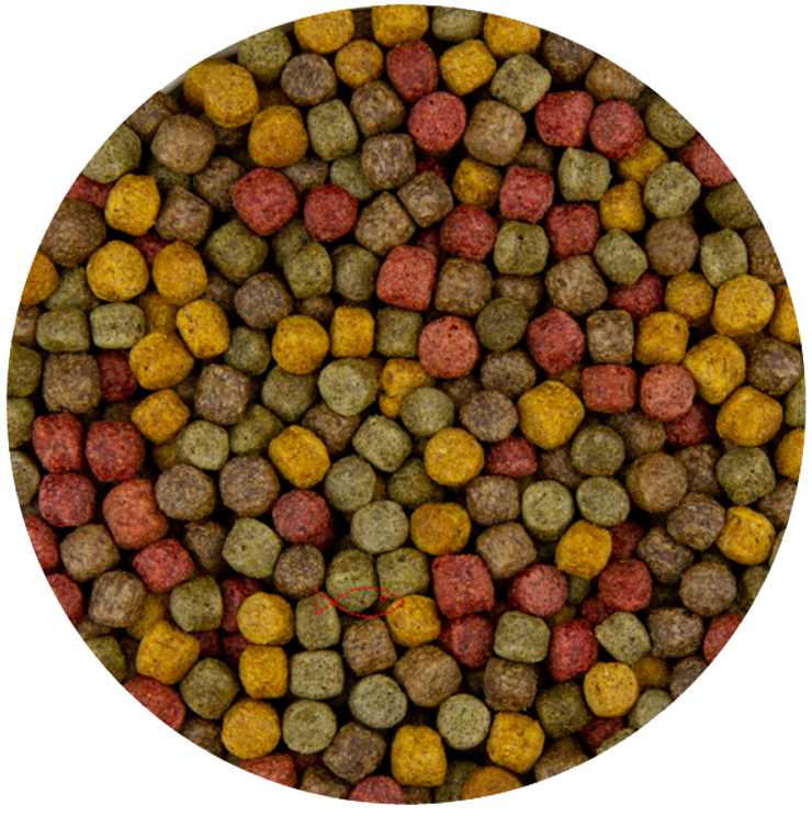 BluFeed - Fischfutter Teich - Multi Mix 6mm - 2kg