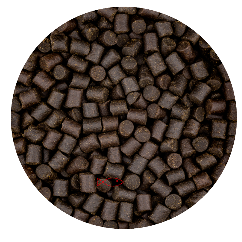 BluFeed – Störfischfutter Teich – Sturgeon Mix 6 mm – 3,4 kg