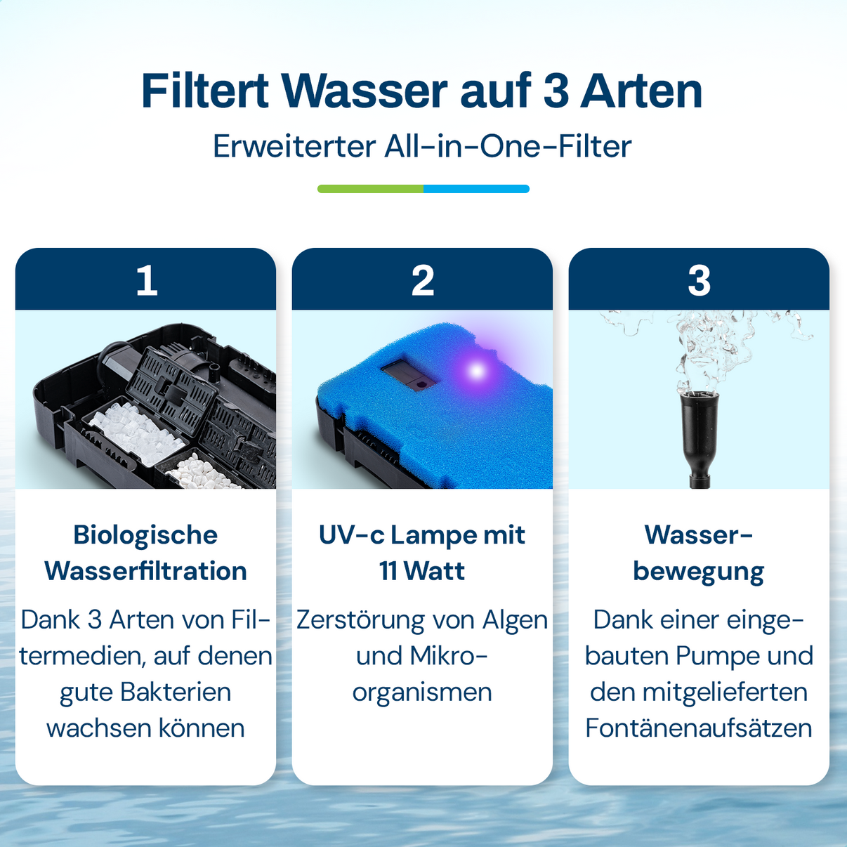 BGF-1011_de_2.jpg