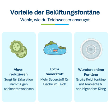 BGP-20000_de_2.jpg