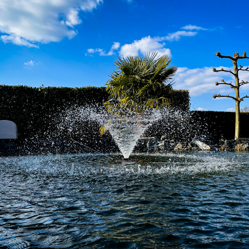 BluFountain 20.000 – Schwimmender Teich Springbrunnen - Teichbelüfter – 3m Kelch – Schwarz