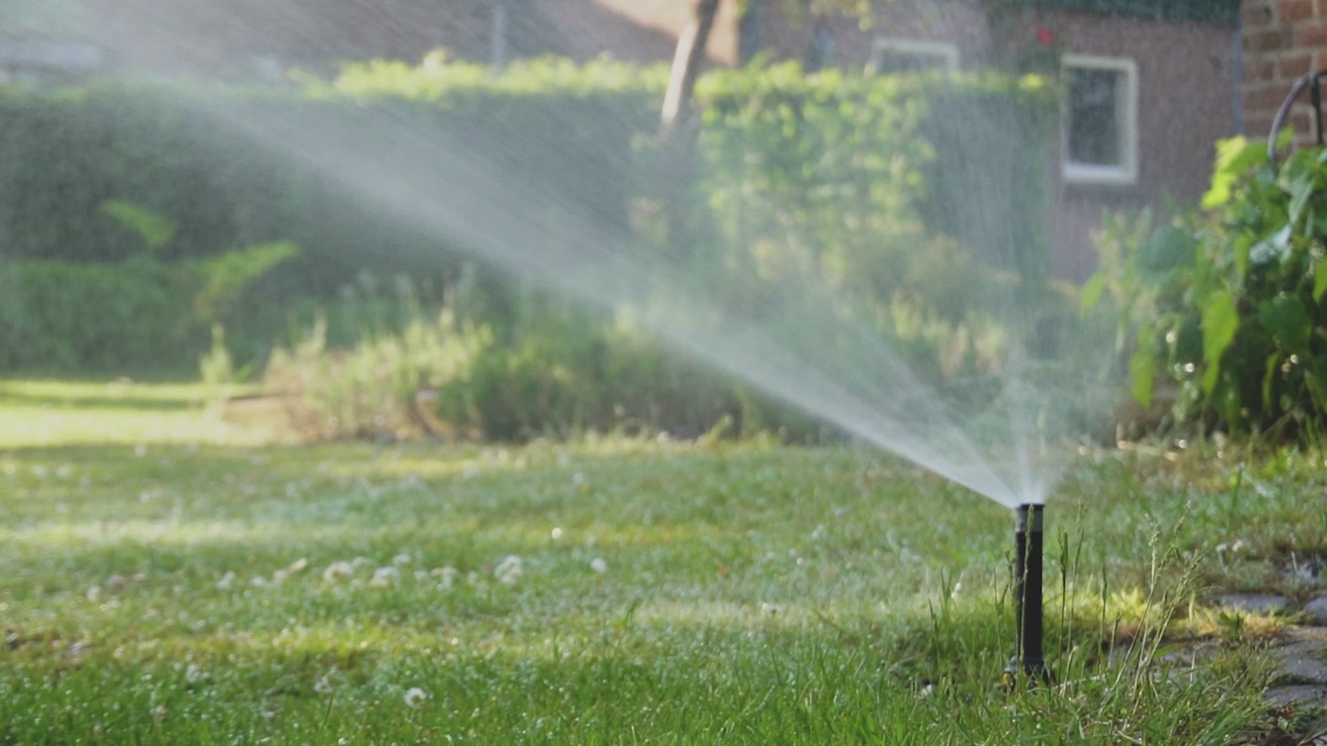 Video laden: Pop up sprinkler video garden sprinklers gazon lawn